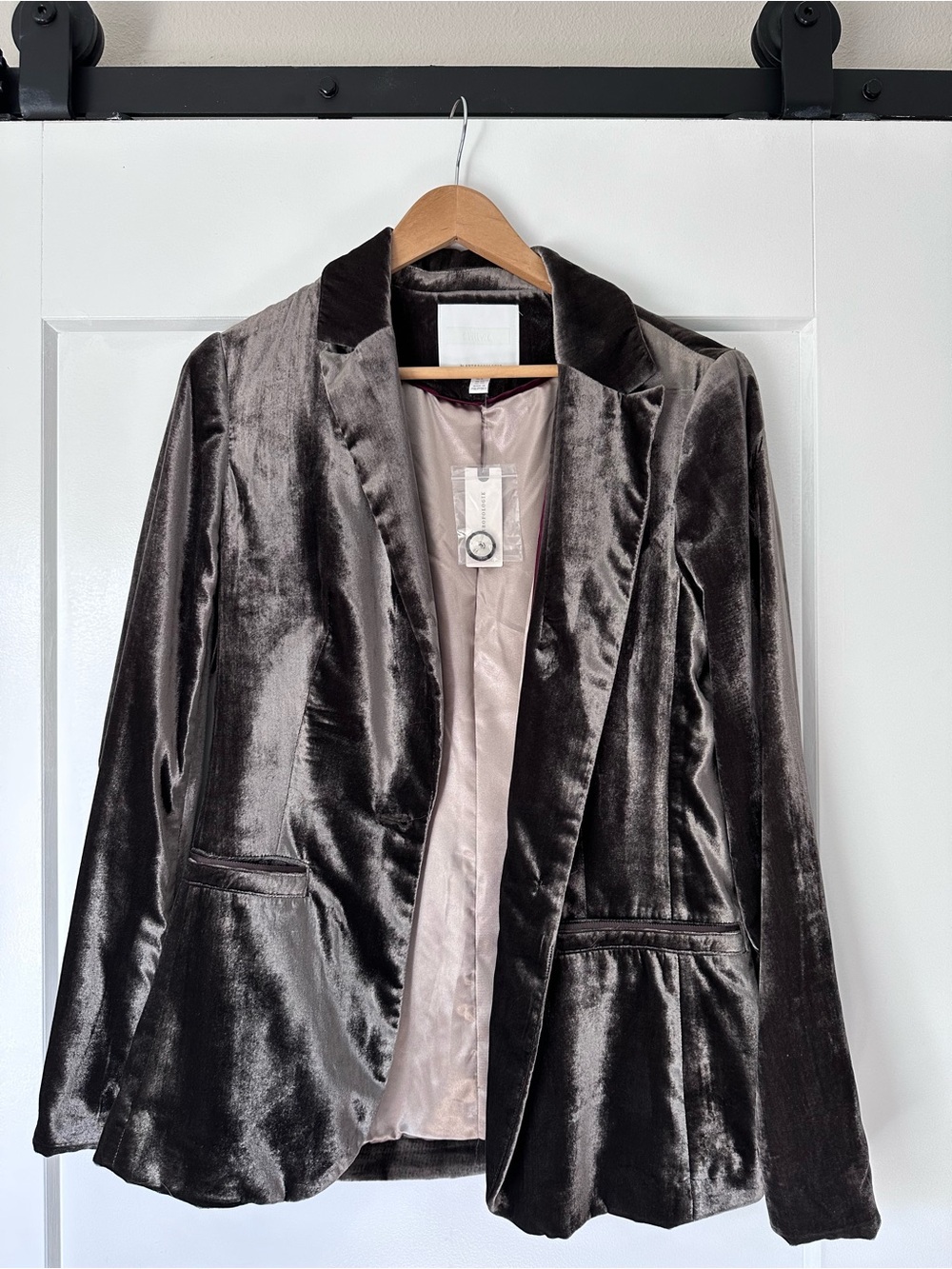 Ett:twa by Anthropologie Bronze Velvet Blazer